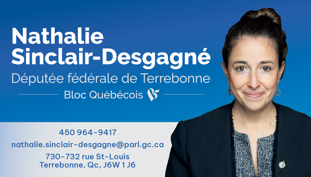 Carte d'affaire_NSD_pub